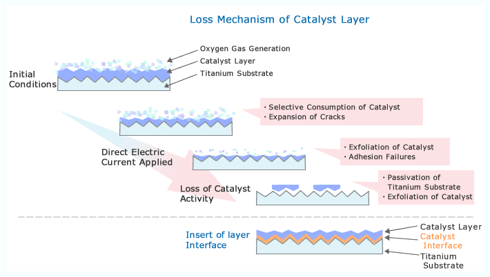 Loss Mechanism of Catalyst Layer
