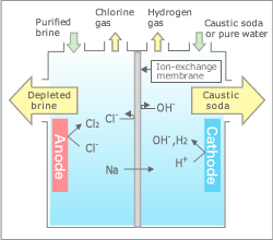 Brine Electrolysis