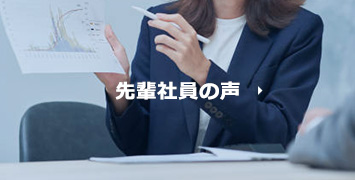 先輩社員の声